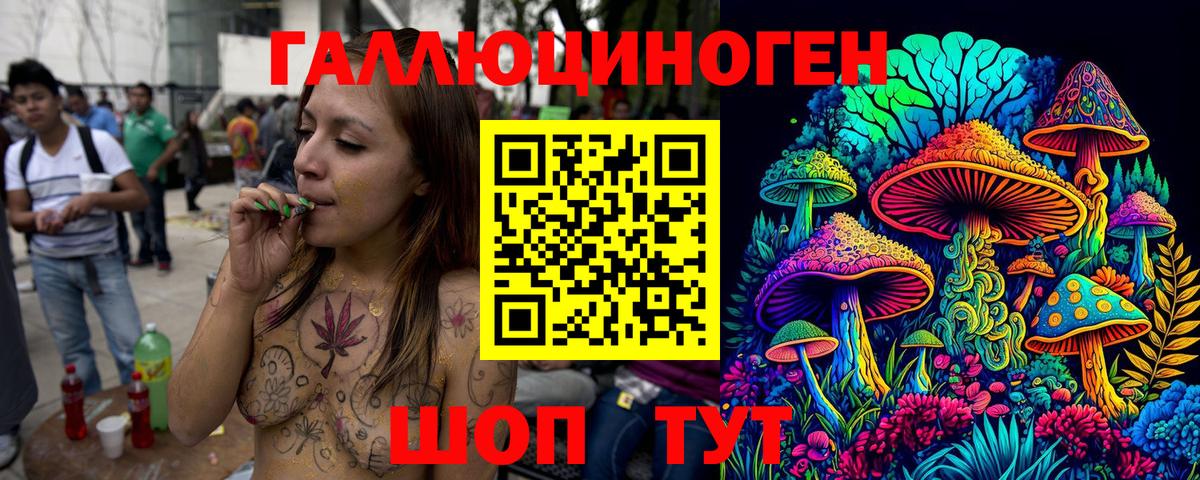 Псилоцибиновые грибы Cubensis Дедовск