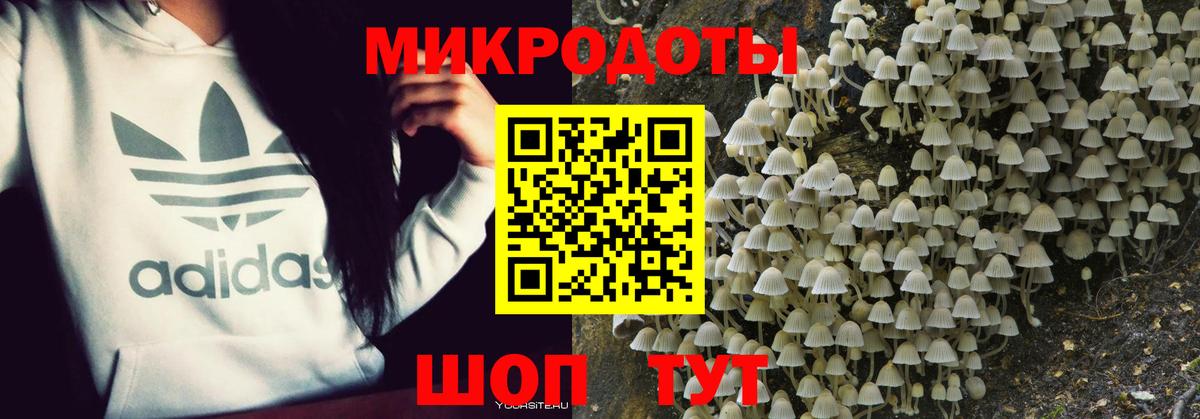 Дедовск  Галлюциногенные грибы Psilocybine cubensis  Вход с VPN 